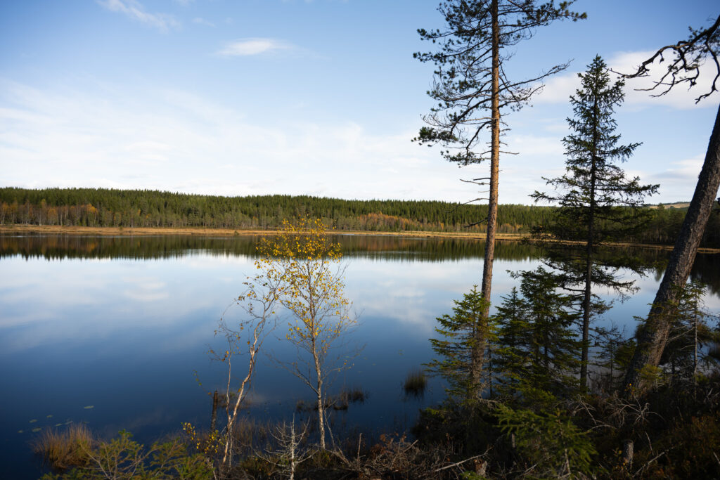 Utsikt fra badeplassen ved tjernet, Bruktjernet